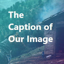 Square photo of a cabin in the woods with a subtle fog behind it. A light gradient overlay is on top that goes from aqua to purple, and on top of that is a caption in white text.